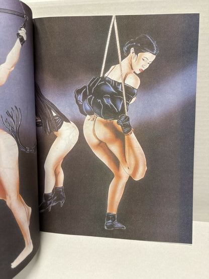 The Fear of Flogging, an SM Graphic Novel by Fritz