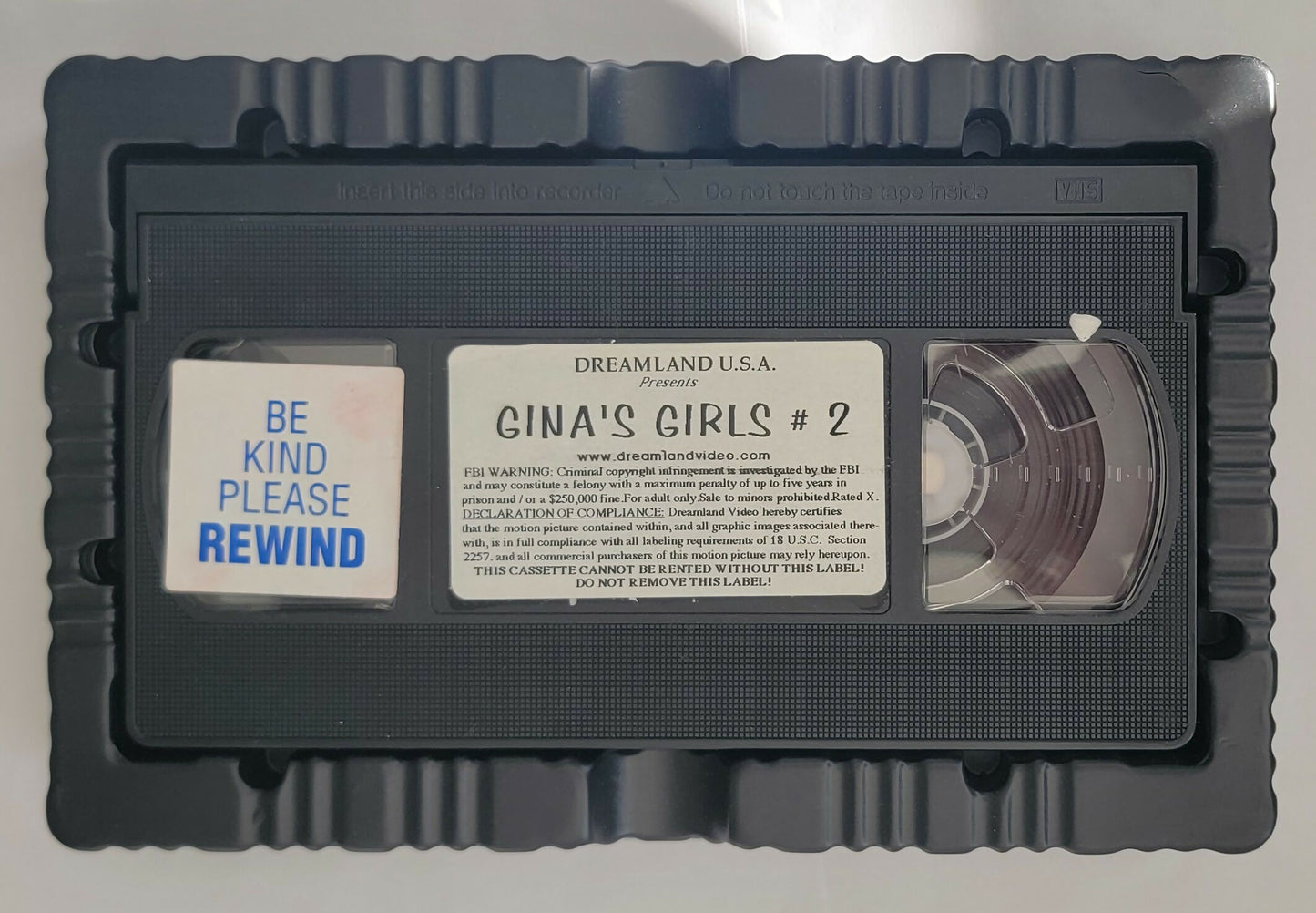 Gina's Girls 2 (1999) VHS