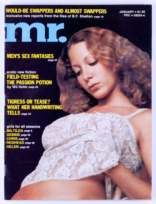 Mr. January 1976 Vol. 20 No. 3 Vintage Softcore Adult Magazine - Trifold Poster