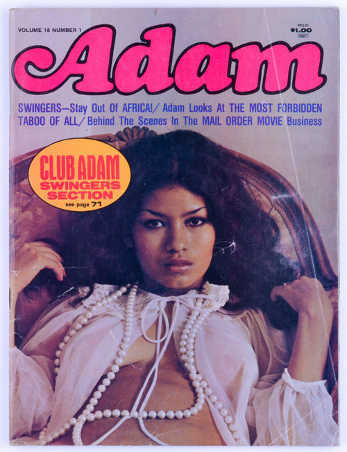 Adam Febraury 1974 Vol. 18 No. 1 Vintage Softcore Adult Magazine - Fawn Faurote
